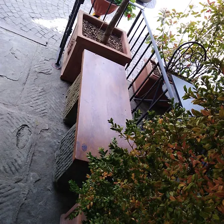 Giovanni Da Verrazzano Otel Greve in Chianti