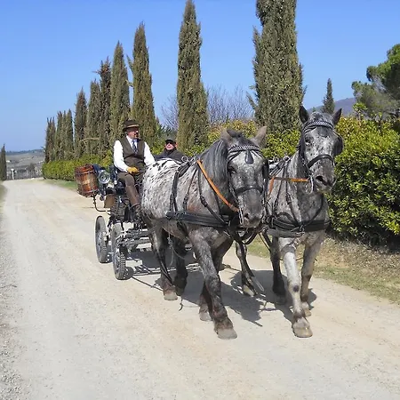 Giovanni Da Verrazzano Hotel Greve in Chianti